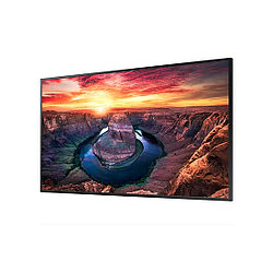 Профессиональный дисплей Samsung QM43B-E 43"