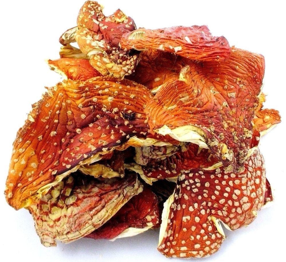 Мухомора красного гриб (кусочки), 25гр - фото 2 - id-p108248974