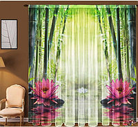 Эротикалық лалагүл