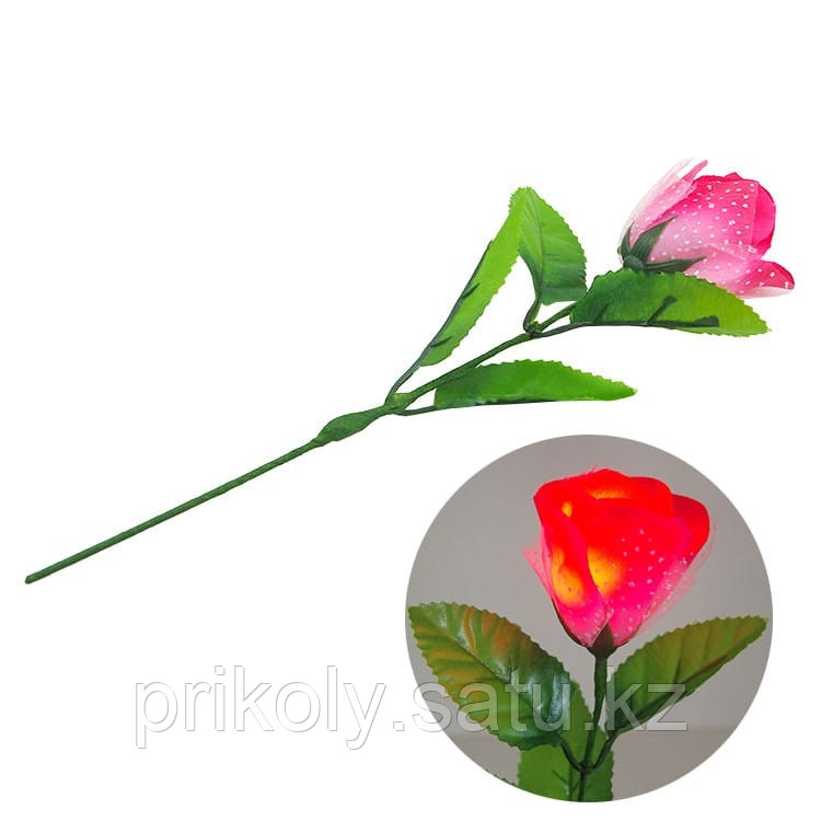 Light Up Rose - Trick - фото 1 - id-p38074333