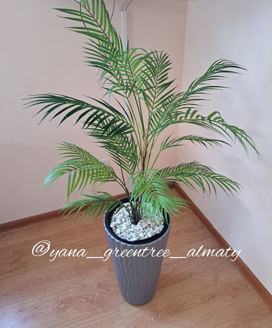 Үлкен өлшемдегі әйелдер порносы