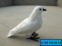 Голубь муляж