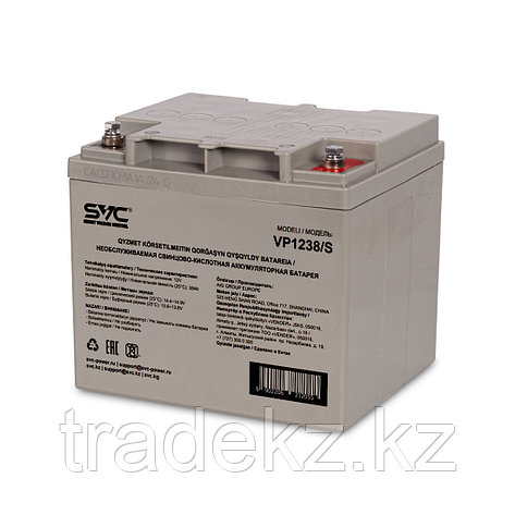 Аккумуляторная батарея SVC VP1238/S 12В 38 Ач (195*165*170 мм), фото 1