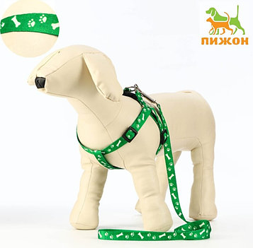 Комплект Шлейка+поводок "Косточки и лапки", зеленый