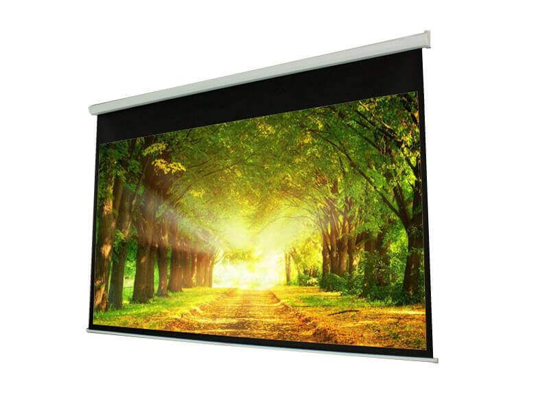 PROscreen Экран моторизованный MLE9120