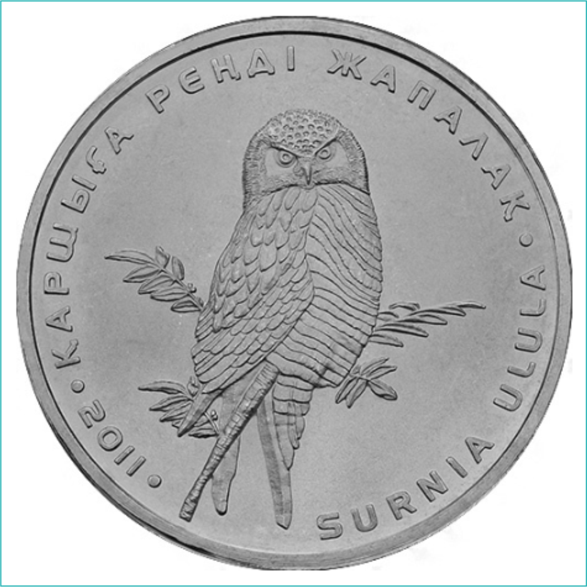 Монета "Ястребиная сова" (50 тенге)