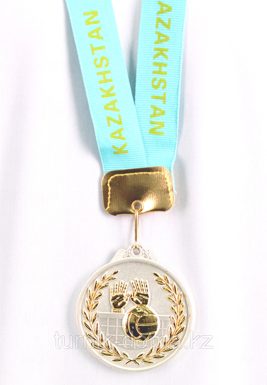 Медаль рельефная ВОЛЕЙБОЛ (серебро) - фото 2 - id-p14128778