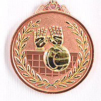 Медаль рельефная ВОЛЕЙБОЛ (бронза), фото 1