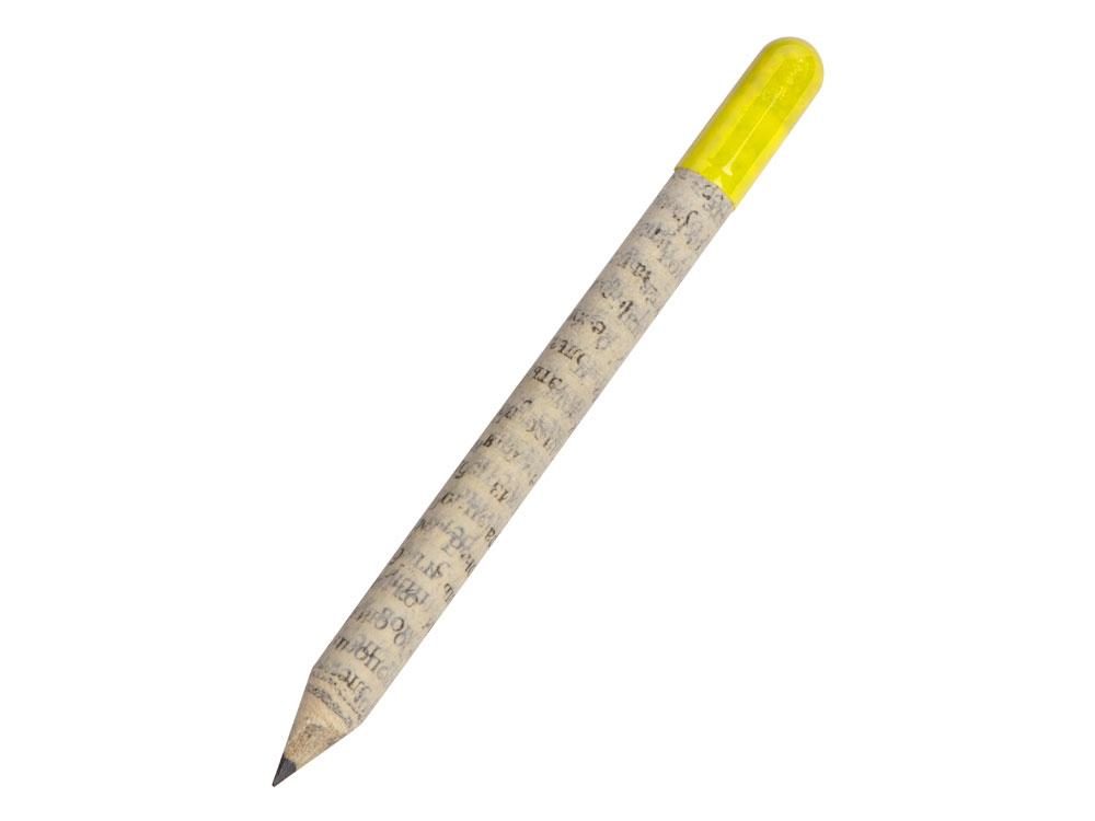 Растущий карандаш mini Magicme (1шт) - Акация Серебристая - фото 1 - id-p109759420