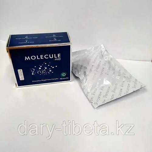 Molecule Plus ( Молекула Плюс ) картонная упаковка 40 капсул - фото 2 - id-p108248592