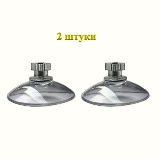 Қынап үлкен сперматозоидпен жабылған