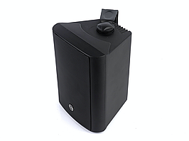 Настенный громкоговоритель CVGaudio NF4TBl