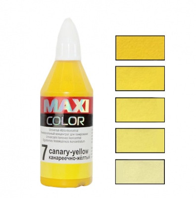 Концентрат для тонирования универсальный MAXI COLOR (МАКСИ КОЛОР)