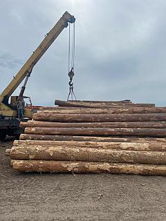 Жалаңаш азиялық әйелдердің суреттері