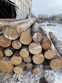 Арабтың дөңгелек бөкселері