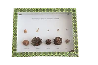 Сексуалды юбкалардың астындағы бөкселер Екі қаншық еркекті пайдаланады