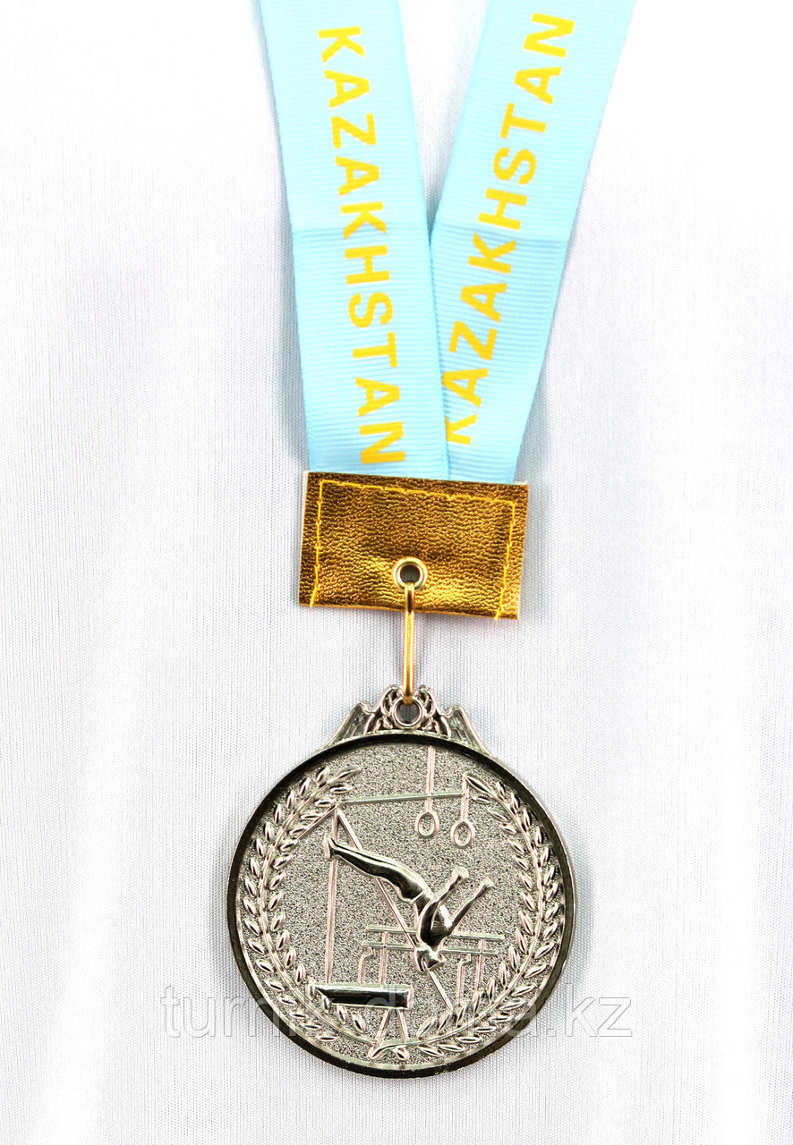 Медаль СПОРТИВНАЯ ГИМНАСТИКА (серебро) - фото 2 - id-p14146444