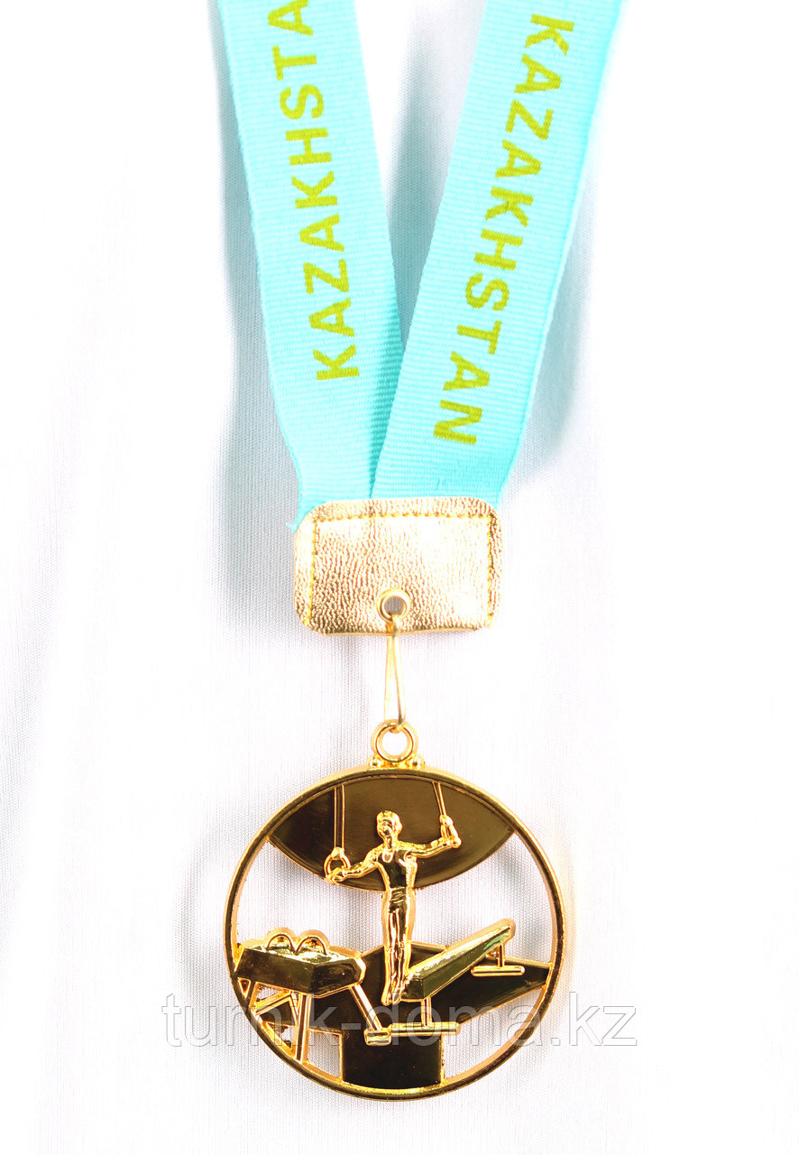 Медаль СПОРТИВНАЯ ГИМНАСТИКА (золото) - фото 2 - id-p14146482