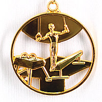 Медаль СПОРТИВНАЯ ГИМНАСТИКА (золото), фото 1