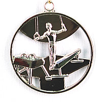 Медаль СПОРТИВНАЯ ГИМНАСТИКА (серебро), фото 1
