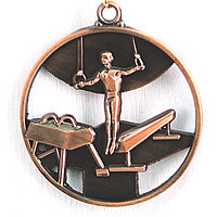 Медаль СПОРТИВНАЯ ГИМНАСТИКА (бронза), фото 1