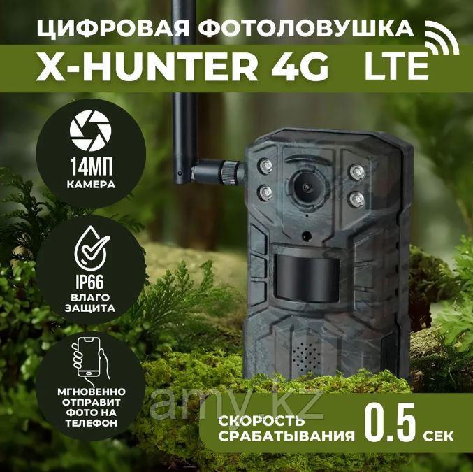 Фотоловушка X-Hunter 4G (LTE) - фото 3 - id-p109956525