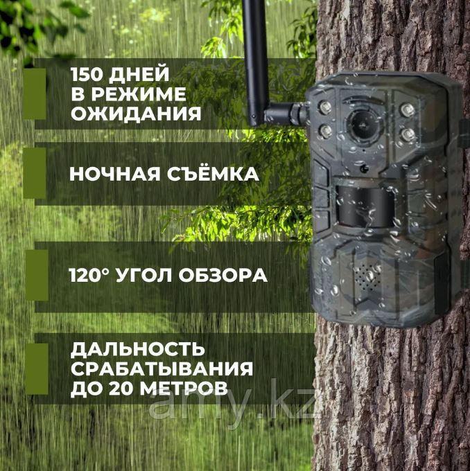 Фотоловушка X-Hunter 4G (LTE) - фото 4 - id-p109956525