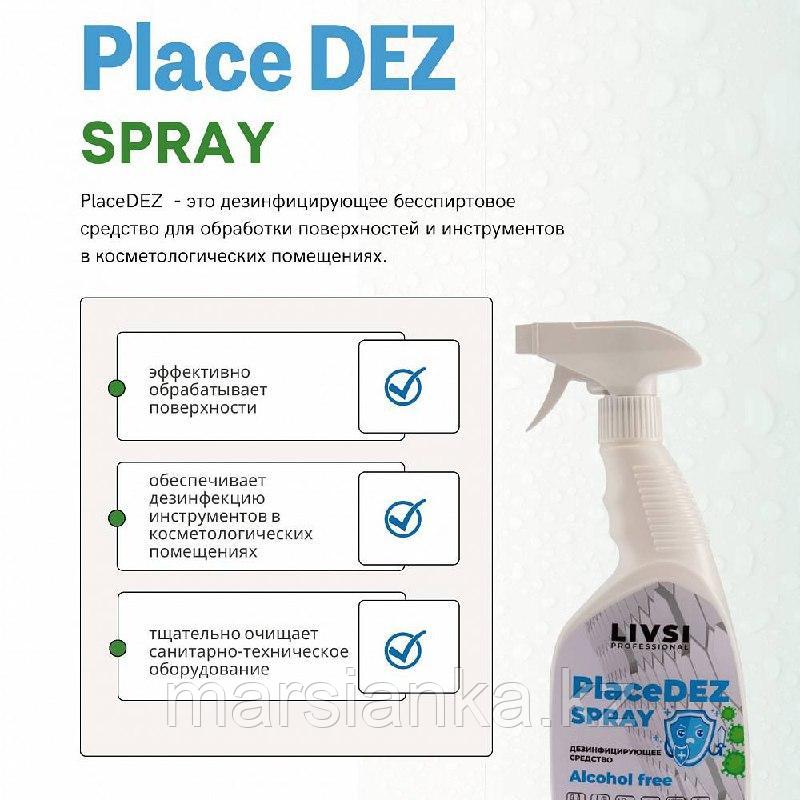 Place Dez Spray "Livsi", 500мл - фото 1 - id-p110003012