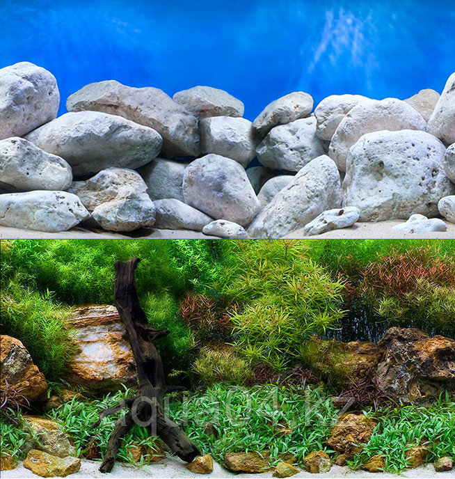 SeaView AQUA GARDEN/BRIGHTSTONE (30 см) Фон задний для аквариума - фото 1 - id-p109461590