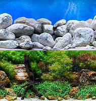 SeaView AQUA GARDEN / BRIGHTSTONE (61 см) Фон задний для аквариума