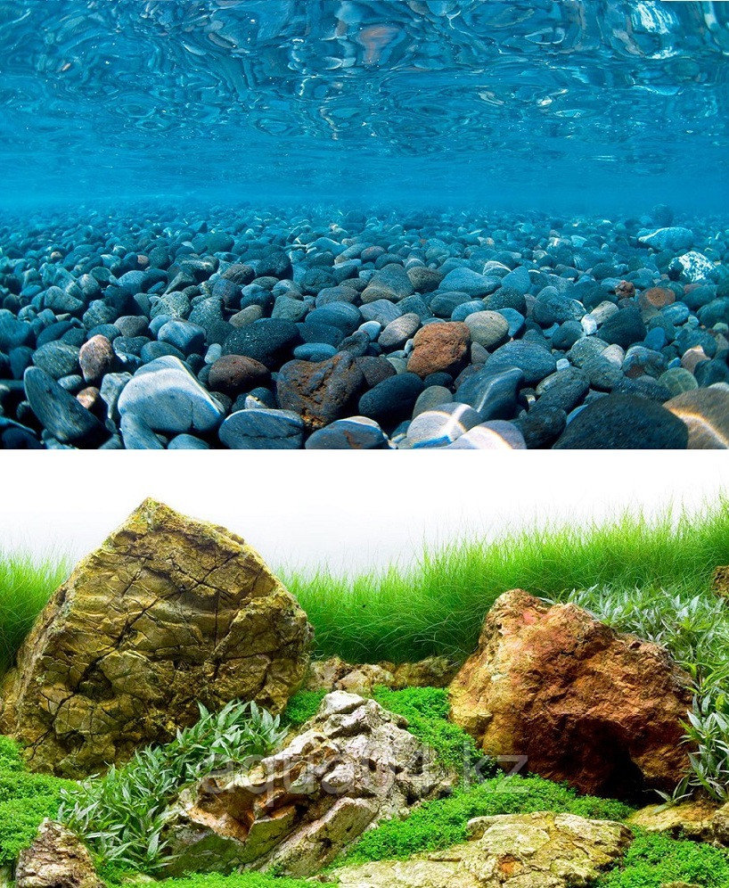 SeaView RIVER ROCK / SEA OF GREEN (30 см) Фон задний для аквариума - фото 1 - id-p110006749