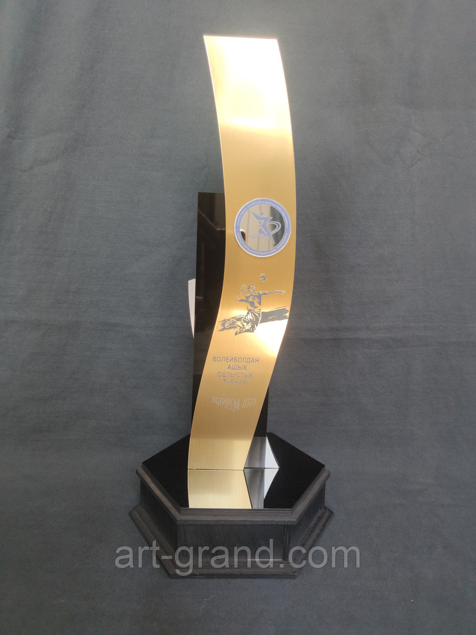 Кубок по волейболу, фото 1