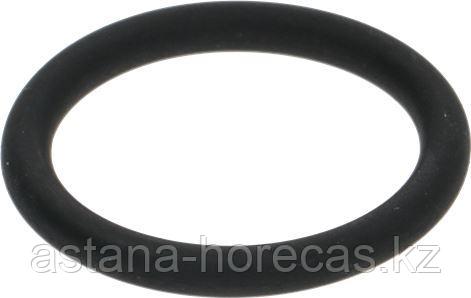 Уплотнительное кольцо -толщ. 2.62 mm-внутр. ø 18.62 mm   00800.0.00.02 Brasilia