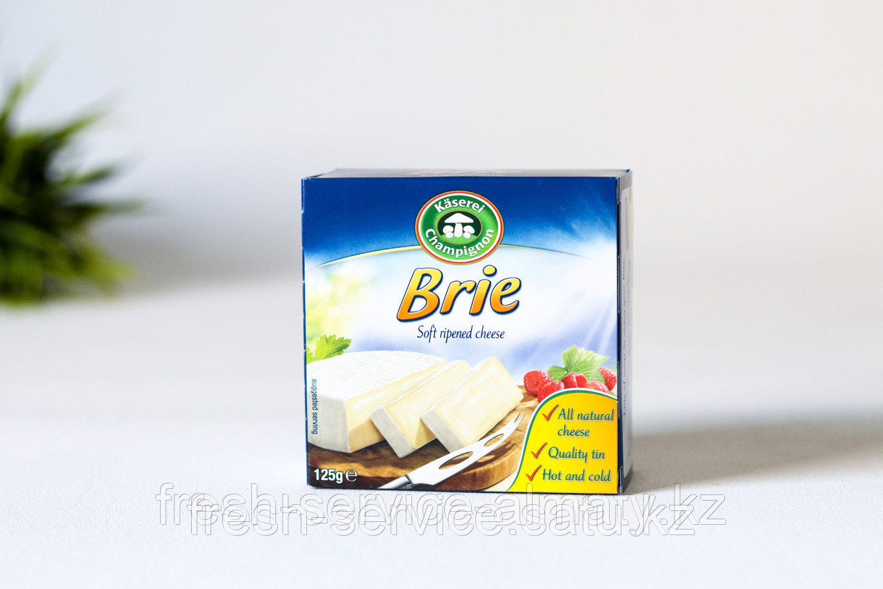 Сыр мягкий с белой плесенью Brie (Бри) 125 гр - фото 2 - id-p93559606