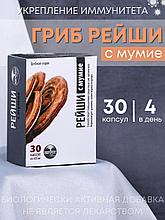 БАД Грибная серия "Рейши с мумиё" для повышения защитных сил организма, 30 капсул