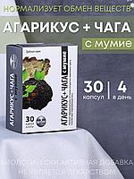 БАД Грибная серия "Агарикус+Чага с мумиё" нормализует обмен веществ, 30 капсул