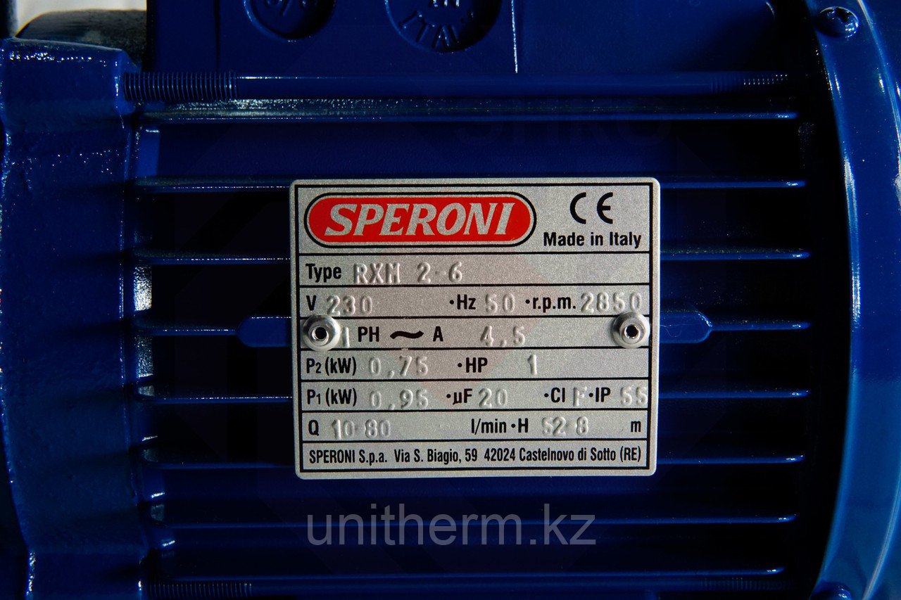Насос повысительный SPERONI RXM 2-6 - фото 3 - id-p110046166
