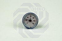 Термометр синий GIACOMINI R540F 0-120 °С