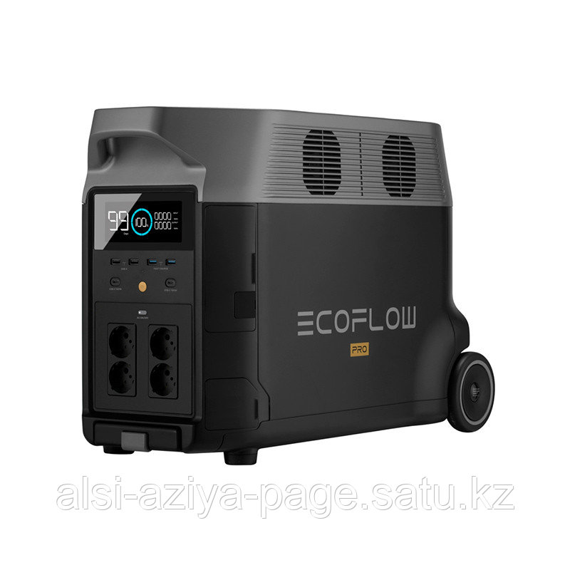 Портативная зарядная станция EcoFlow DELTA Pro - фото 1 - id-p110083570