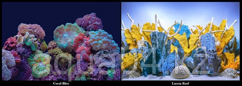 SeaView CORAL BLISS / LUSCIA REEF (61 см) Фон задний для аквариума