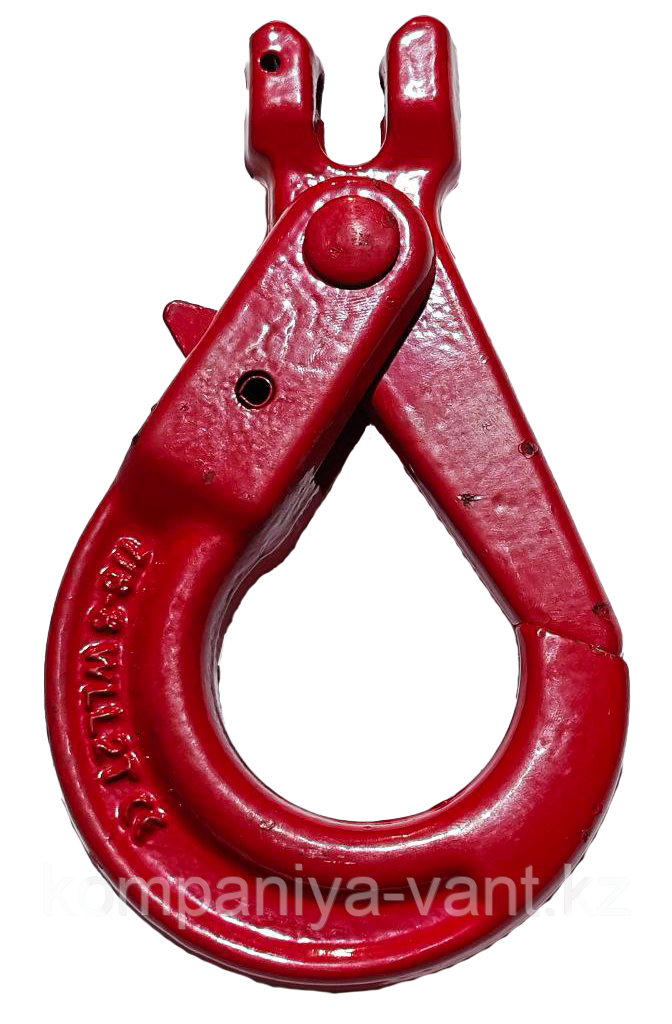 Крюк самозапирающ. вилочным соединением 5,3тн, фото 1