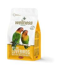Корм Падован Wellness MIX для неразлучников и др.средних 850 г  PP00674