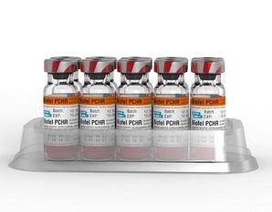 Домашние животные