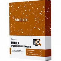MuLex Soft FA - Учет ОС от 10 до 30 лицензий софт (Mulex FA - Учет ОС от 10 до 30 лицензий)