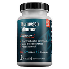 Thermogen Fatburner Жиросжигатель (капсулы для похудения, 120шт)