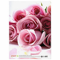 Папка адресная ламинированная "С ЮБИЛЕЕМ!", А4, розы, индивидуальная упаковка, STAFF "Profit", 129584, фото 7