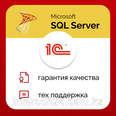 1С Клиентский доступ на 50 р.м. к MS SQL Server 2019 Full-use для 1С:Предприятие 8. - фото 1 - id-p110105545