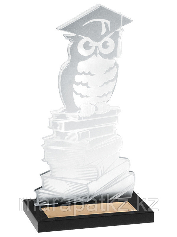 Награда «Ученая сова» акриловая - PS1344