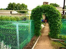 Садовая решетка зеленая 0.45Х20м (15Х15мм) - фото 6 - id-p110158354