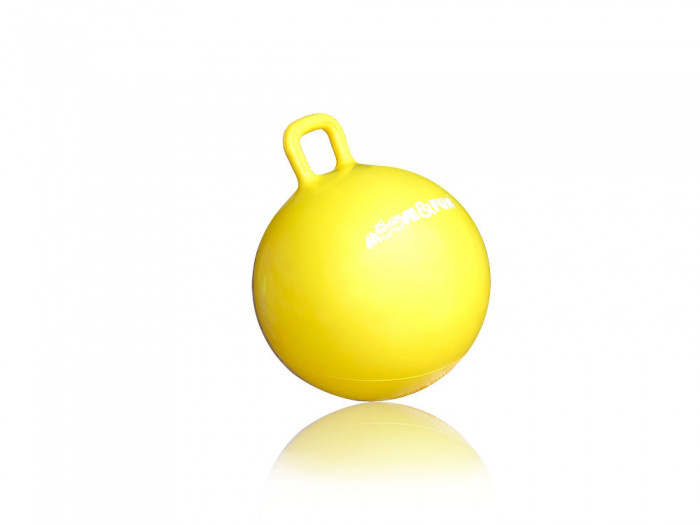 Мяч-попрыгун с квадратной ручкой (диаметр 45 см) - фото 1 - id-p110159813